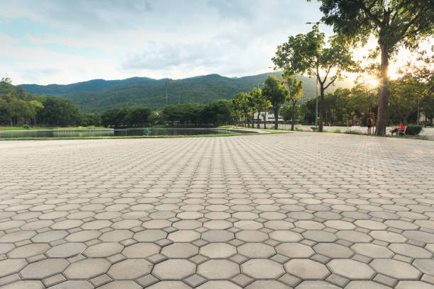 Best Cobblestone Driveway Pavers  in Carthage, MO
